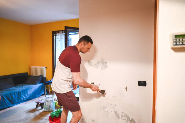 Best Crawl Space Mold Remediation in Wrightsville, PA